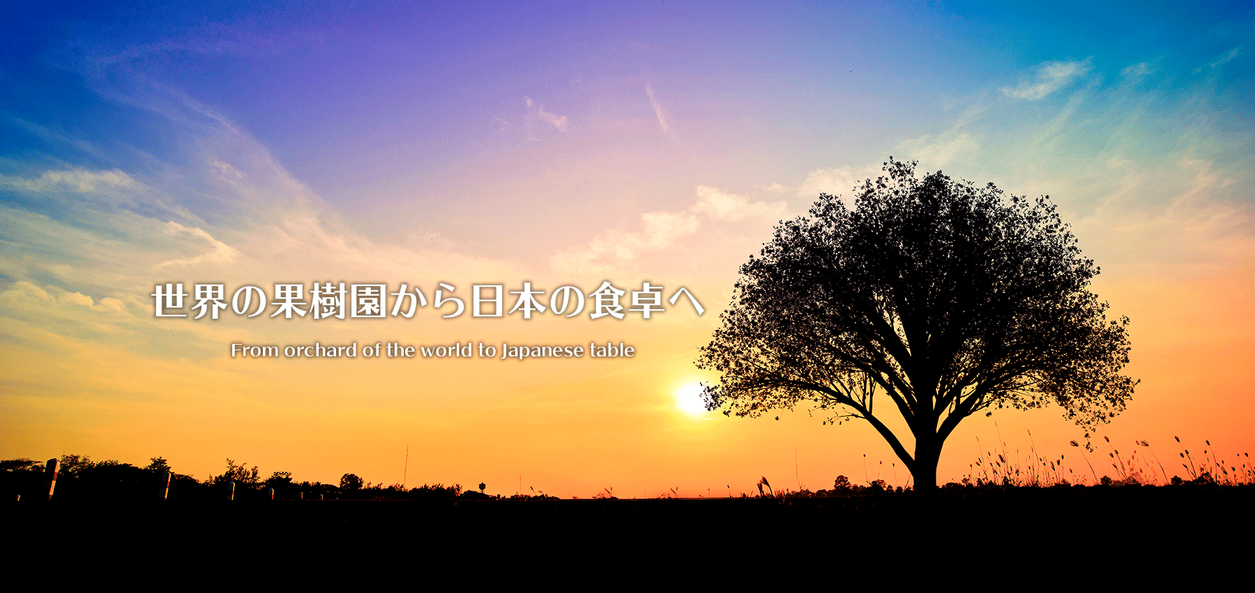 トップイメージ04